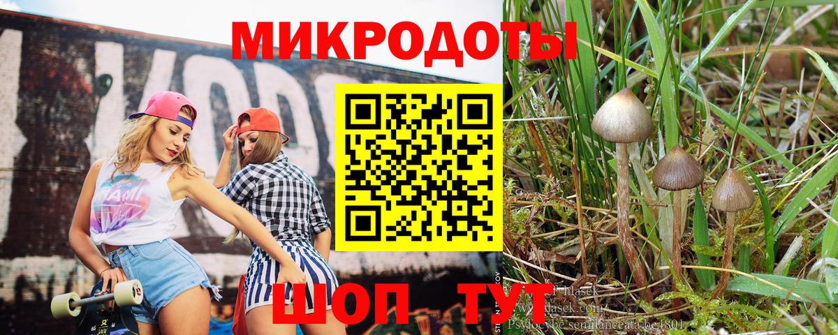 Псилоцибиновые грибы Psilocybe  Галлюциногенные грибы MAGIC MUSHROOMS  Бийск 