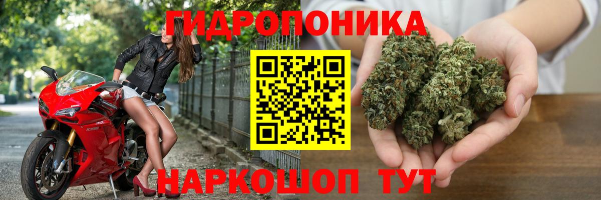 МАРИХУАНА конопля  Бошки марихуана конопля  Шишки марихуана Ganja  Каннабис семена  Бийск 
